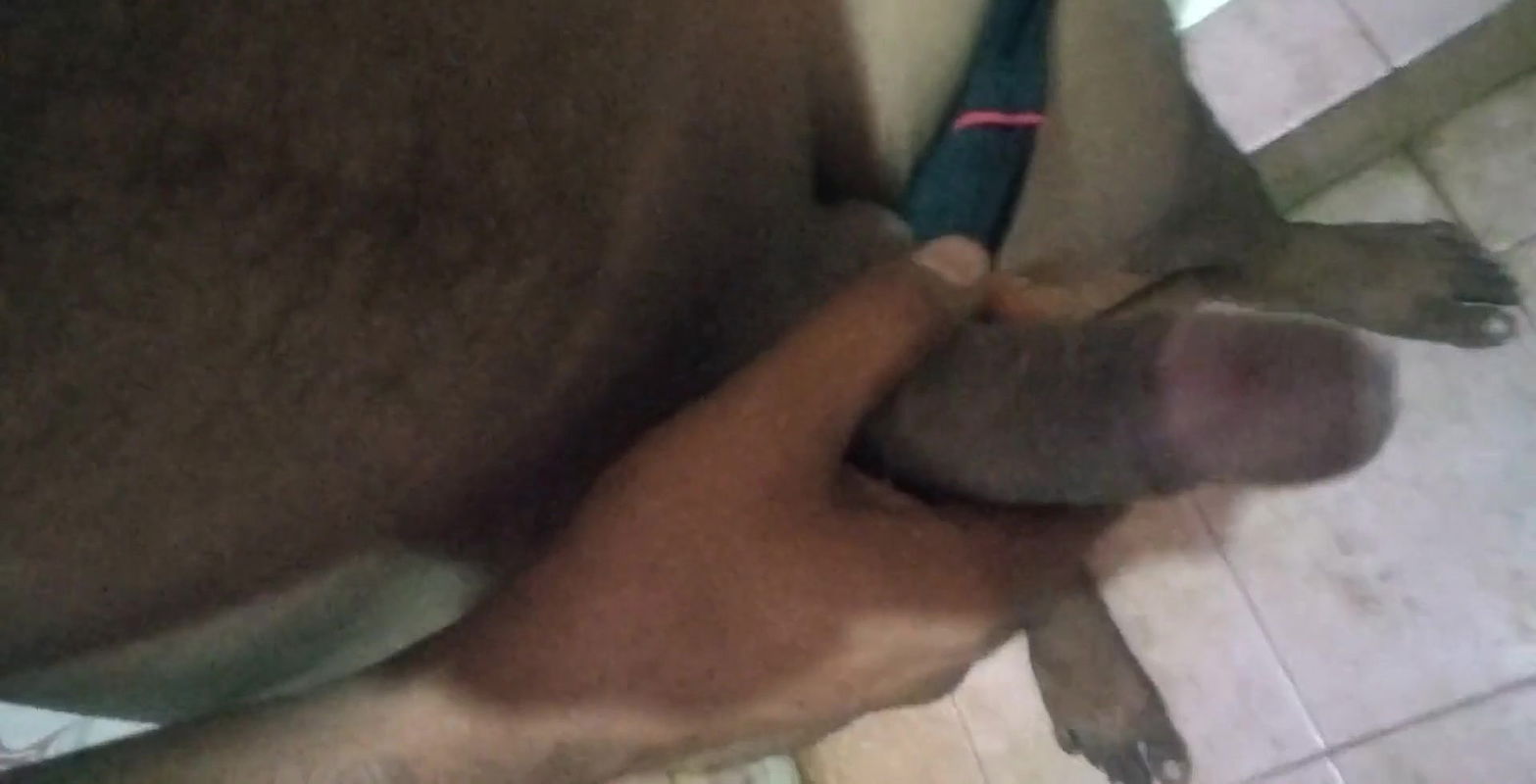 Tamil guy showing big cock
