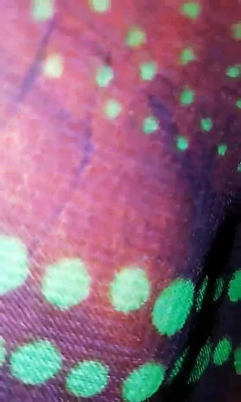 Neighbor Bhabhi blowjob N pussy fingering