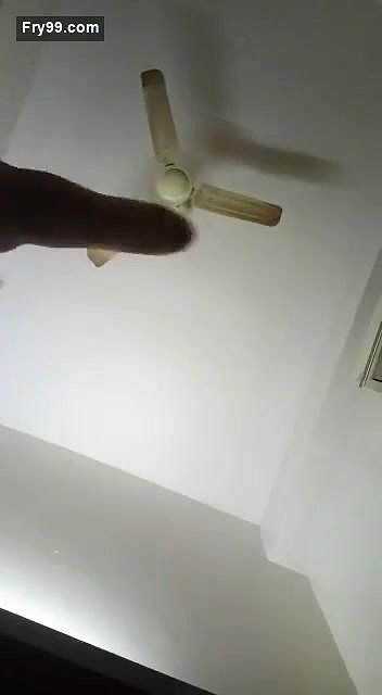 pure unsatisfied bhabhi