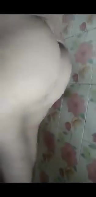 Bengali girl stripping dresses and big boobs show