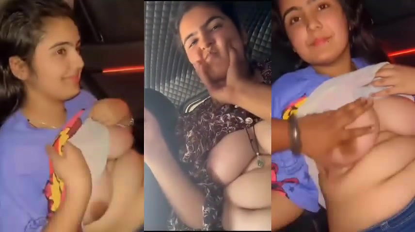 Punjabi Girl fucked
