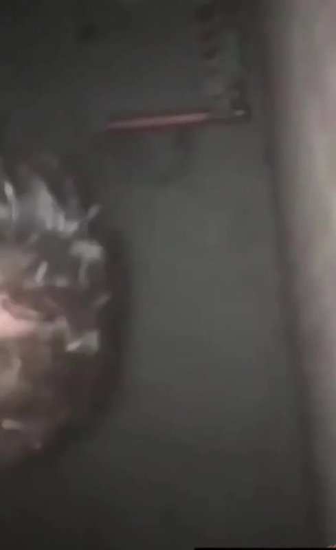 chubby girl fuck mms