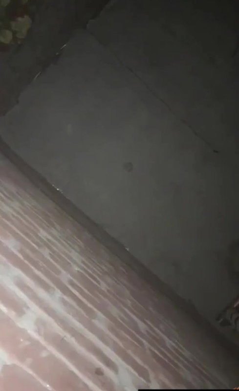 chubby girl fuck mms