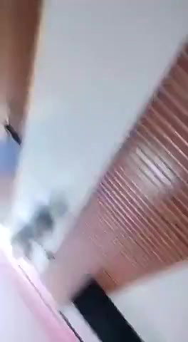 Boobs Girl
