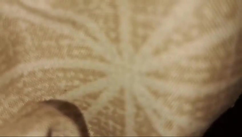 Sexy Nepali Babe Giving Blowjob Fucking pt 2