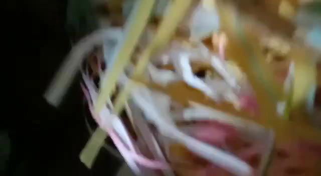 Outdoor mouth Fucking and pussy captured