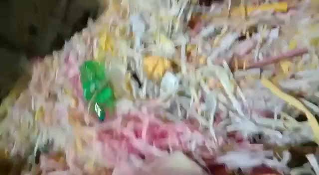 Outdoor mouth Fucking and pussy captured