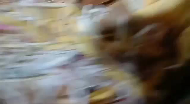 Outdoor mouth Fucking and pussy captured