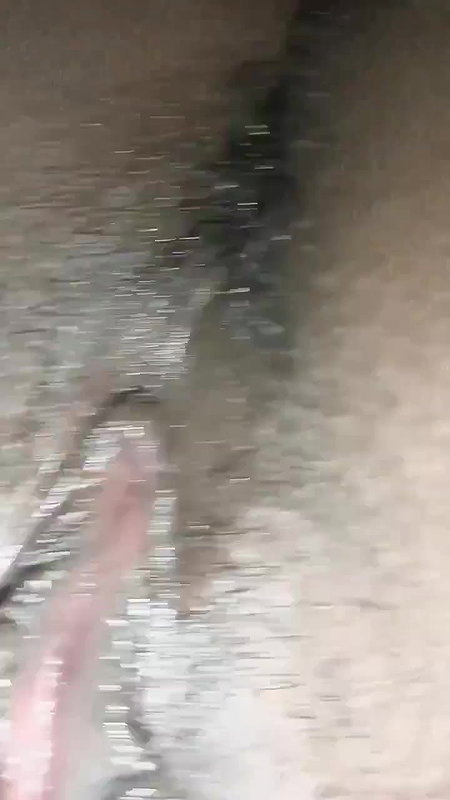 chut ki video