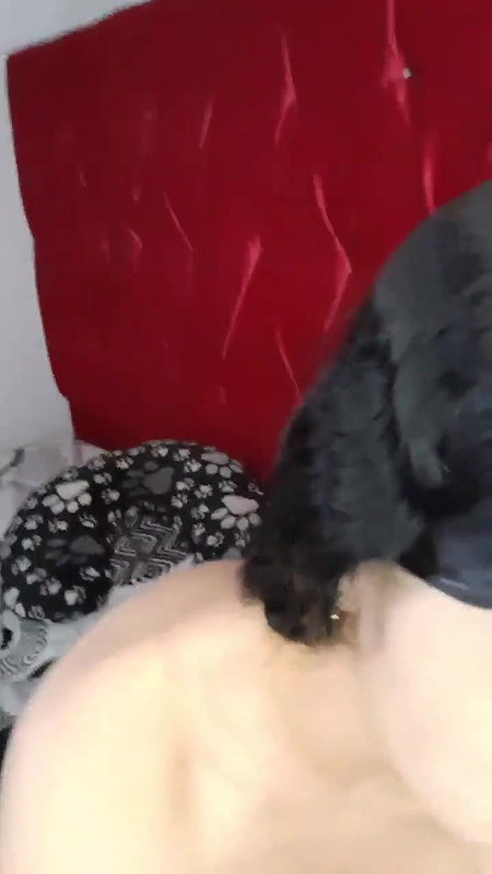 girl destroyed by dildo