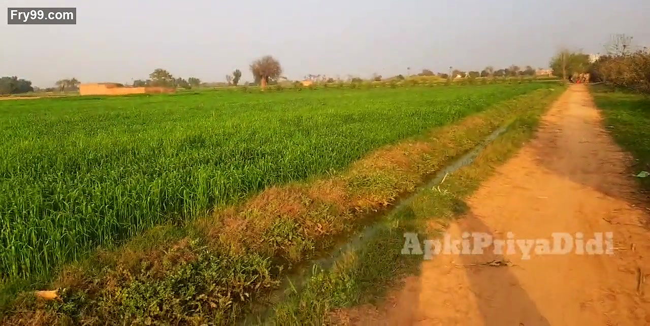 Pakistani Hot Girl Enjoying With Son Man At Home Desi Sex Pakistani Boy And Girl Fucking Masti will be fun