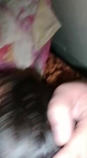bhabhi boob press before viral sex with devar