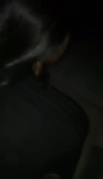 doggy style sex with gf