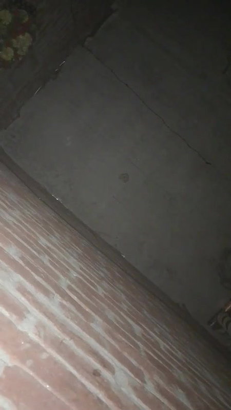 gori bahbhi ki chudai