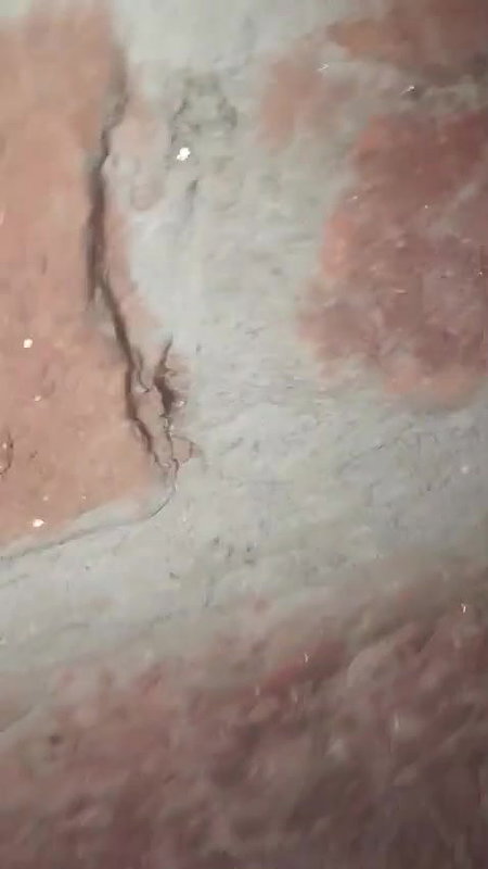 gori bahbhi ki chudai