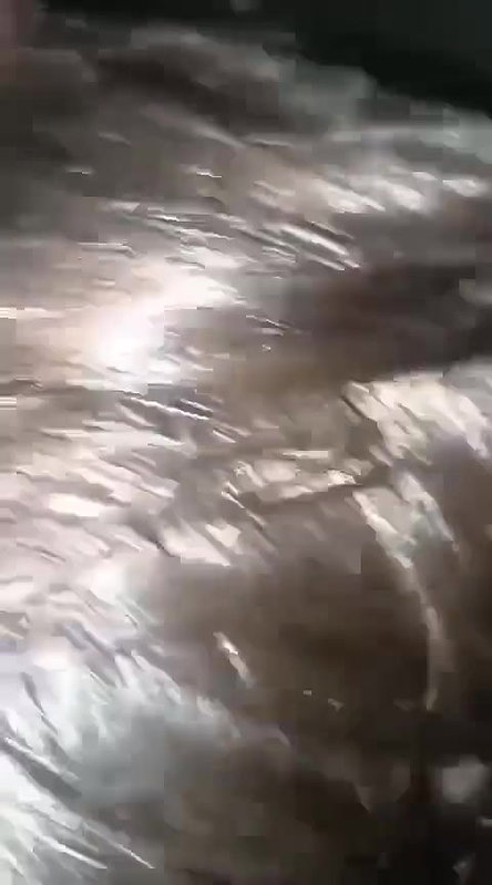 beautiful wife fucking