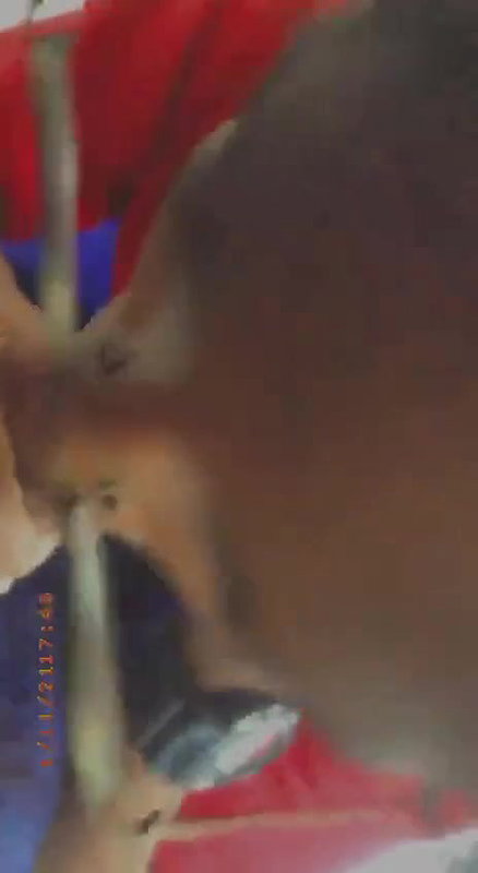 desi sluts sloppy blowjob