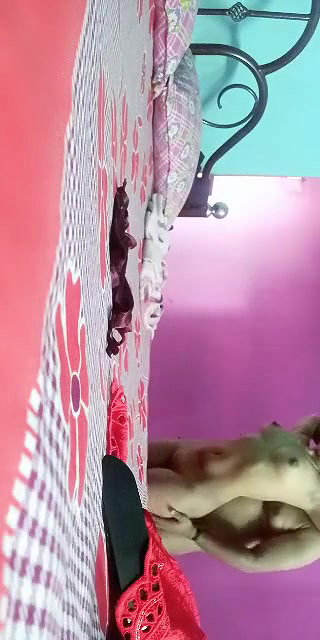 Desi Couple Fucking Homemade Video