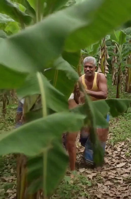 horny threesome bangla in jungle park chet tango fabhouse onlyfans Stripchats mom big boobs Randi money park hijab village