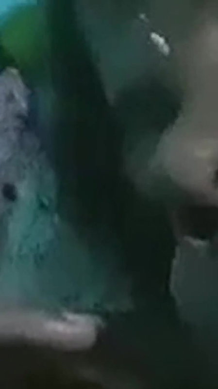 Tamil Newly Married Dusky Wife Pussy Fingered Licked and Fucked Hard 2