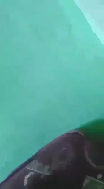 beautiful eye desi blowjob girlfriend viral MMS