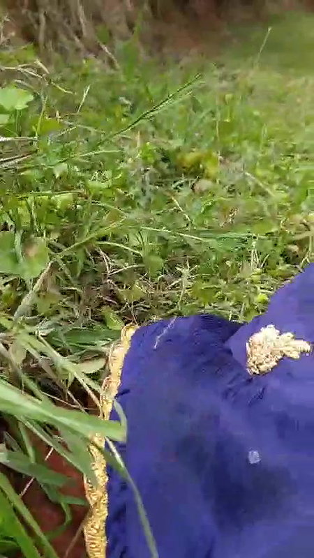 Hindi speaking girl viral outdoor sex with boyfriend