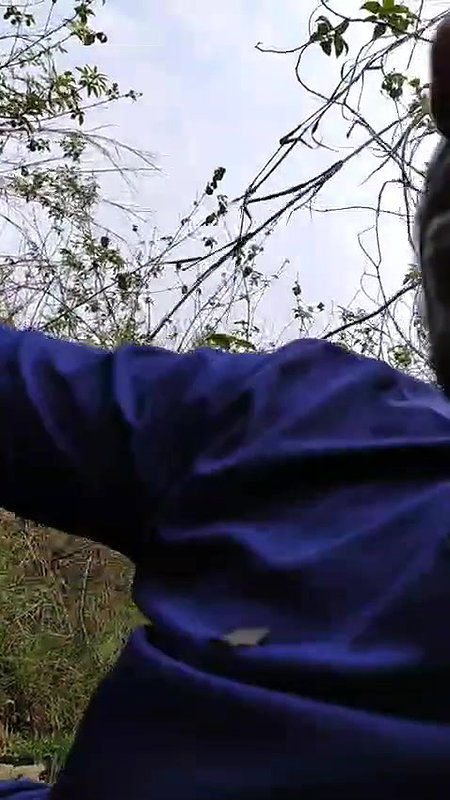 Hindi speaking girl viral outdoor sex with boyfriend