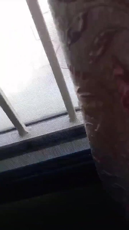 slim college babe Indian blowjob and nude hardcore sex