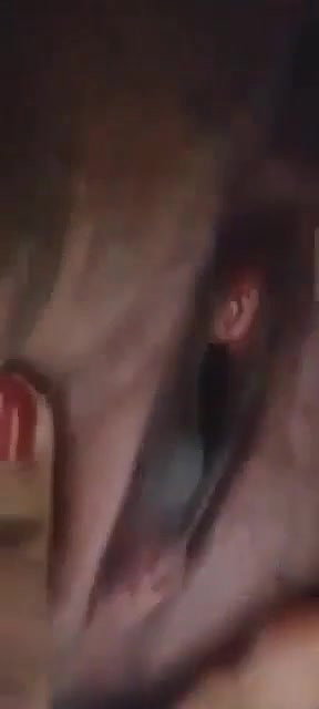 horny babe black pussy exposing video call sex chat