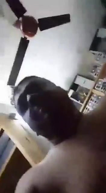 chubby MILF affair new mms sex with neighbor