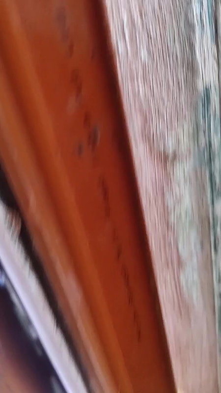 petite bhabhi bathing naked before devar sex MMS