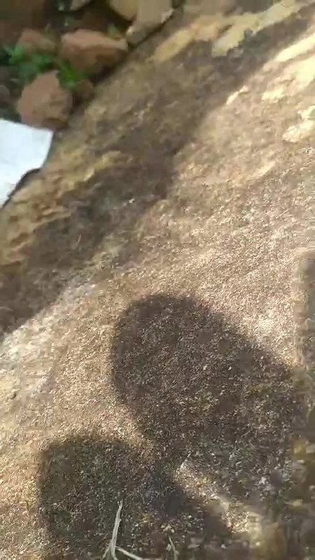 tribal village girl outdoor sex with boyfriend