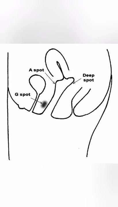 Tamil bhabhi Sex Therapist talking about dick sizes and pleasure tamil