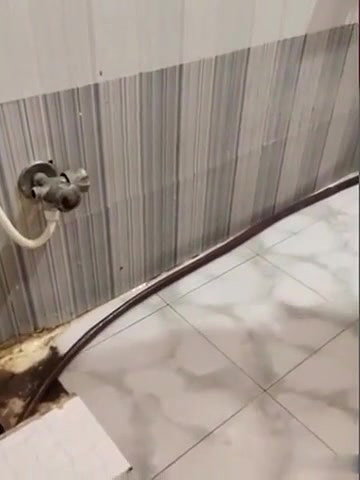 Bhabhi bathing toyplay