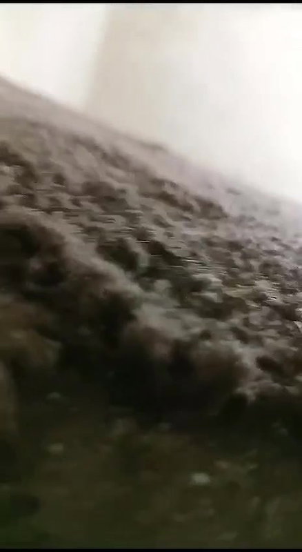 couple fucking hidden cam sex video captured