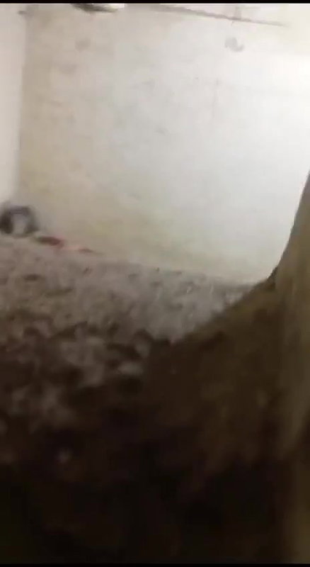 couple fucking hidden cam sex video captured