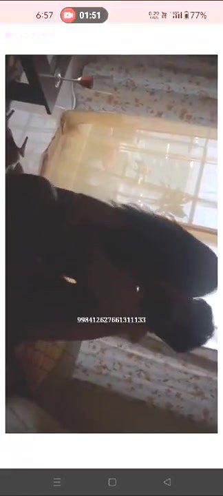 leaked Kannada actress Jyothi Rai Indian blowjob