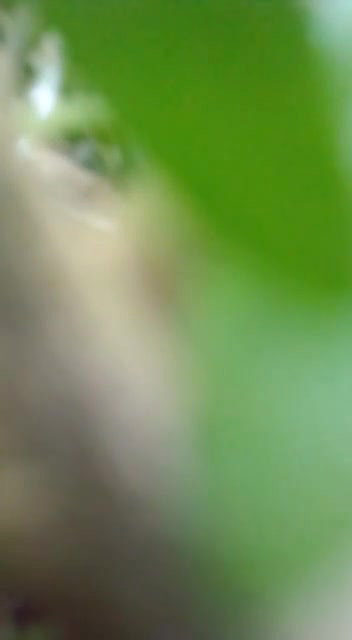 big boobs neighbor aunty viral outdoor fucking