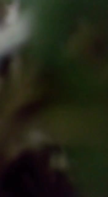 big boobs neighbor aunty viral outdoor fucking