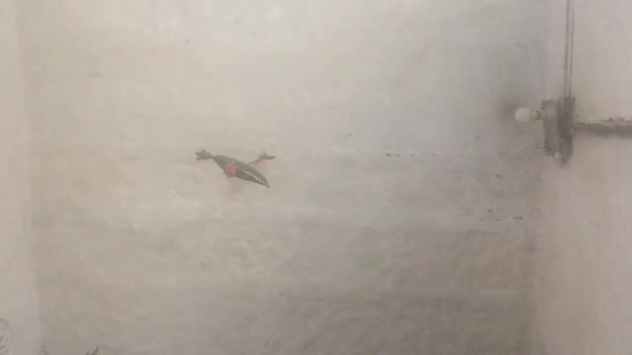 FSI xxx bhabhi pussy masturbation with finger lick