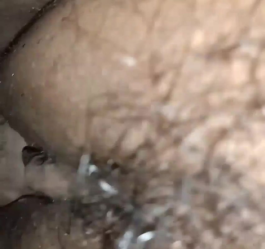 I and my wife in hot fucking