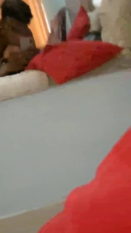 Indian lovers sex videos in hotel room exclusive