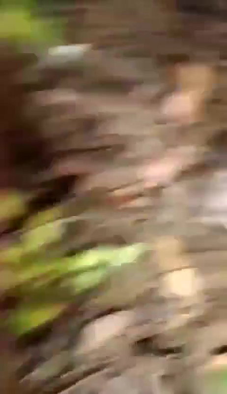 cute girlfriend outdoor sex viral MMS leaked