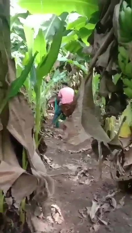 mallu wife outdoor sex at backyard of house