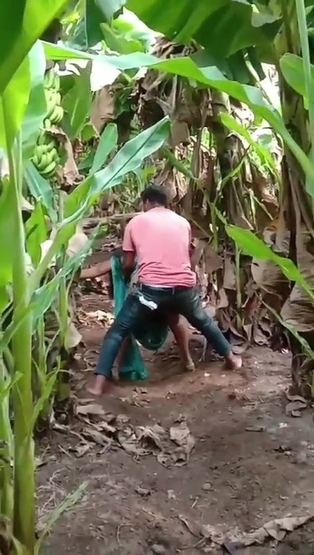 mallu wife outdoor sex at backyard of house