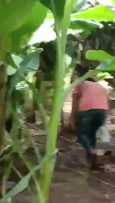 mallu wife outdoor sex at backyard of house