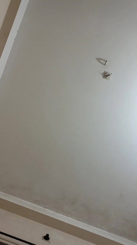 viral village randi sex oral pleasure to client