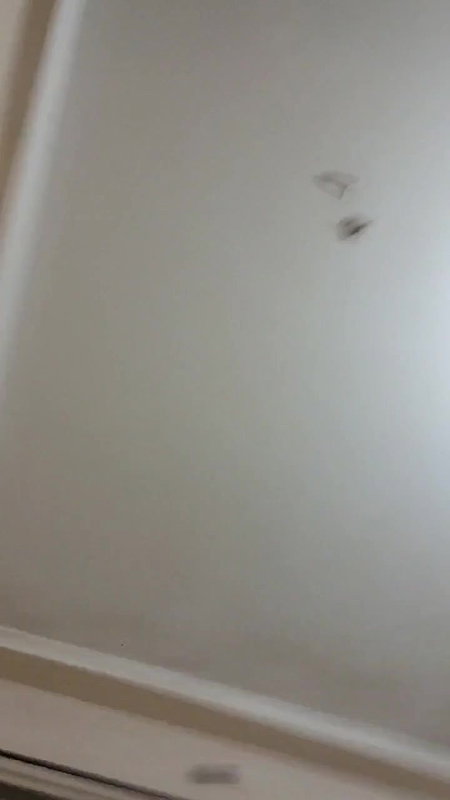 viral village randi sex oral pleasure to client