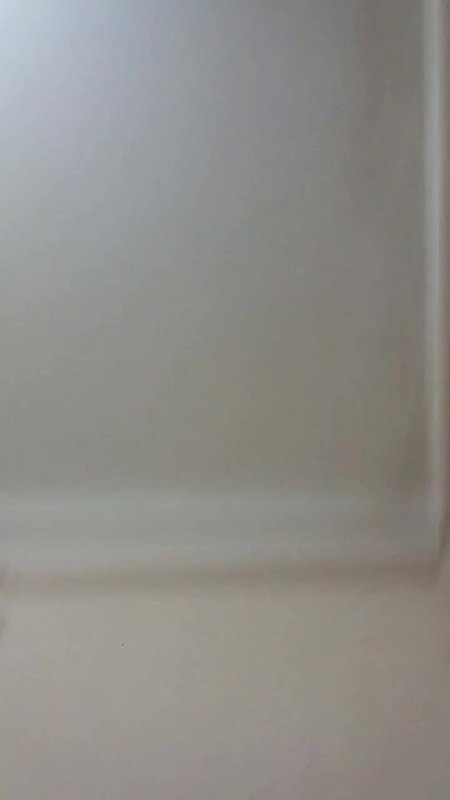 viral village randi sex oral pleasure to client