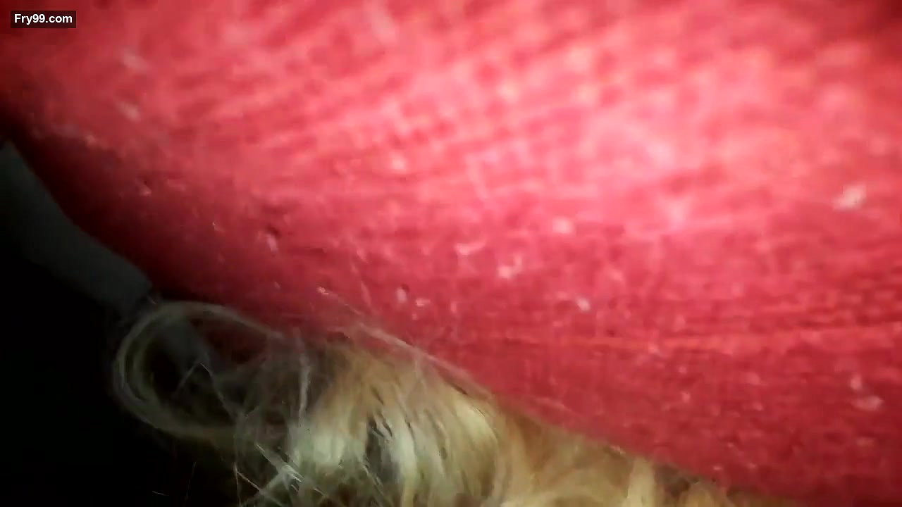Young Wife Taking Big Dick